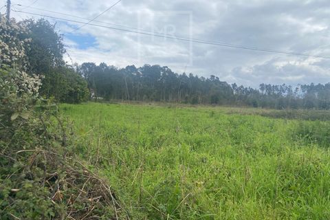 Helårsgrund i Anadia, Aveiro, Anadia - € 110.000 | Ref: 31/2026 - foto 7