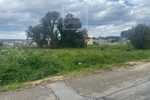 Helårsgrund i Anadia, Aveiro, Anadia - € 110.000 | Ref: 31/2026 - foto 8