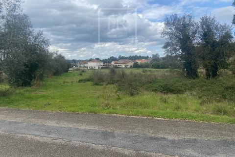 Helårsgrund i Anadia, Aveiro, Anadia - € 110.000 | Ref: 31/2026 - foto 9