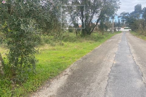 Helårsgrund i Anadia, Aveiro, Anadia - € 110.000 | Ref: 31/2026 - foto 10