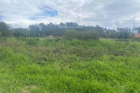 Helårsgrund i Anadia, Aveiro, Anadia - € 110.000 | Ref: 31/2026 - foto 11