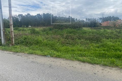 Helårsgrund i Anadia, Aveiro, Anadia - € 110.000 | Ref: 31/2026 - foto 13