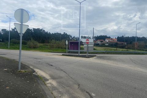 Helårsgrund i Anadia, Aveiro, Anadia - € 110.000 | Ref: 31/2026 - foto 14