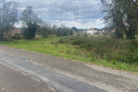 Helårsgrund i Anadia, Aveiro, Anadia - € 110.000 | Ref: 31/2026 - foto 15