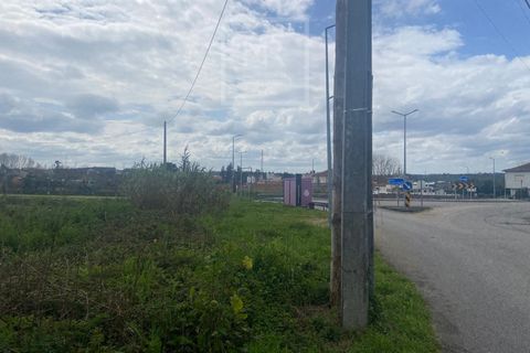 Helårsgrund i Anadia, Aveiro, Anadia - € 110.000 | Ref: 31/2026 - foto 16