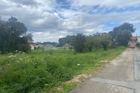 Helårsgrund i Anadia, Aveiro, Anadia - € 110.000 | Ref: 31/2026 - foto 17