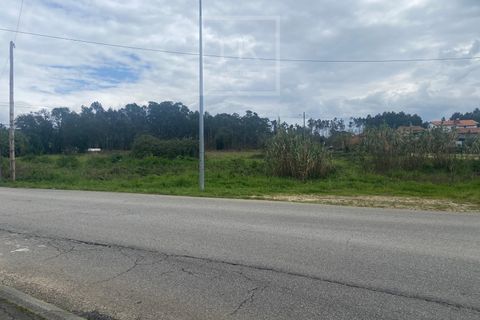 Helårsgrund i Anadia, Aveiro, Anadia - € 110.000 | Ref: 31/2026 - foto 18