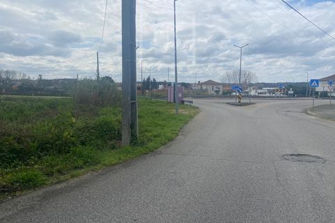 Helårsgrund i Anadia, Aveiro, Anadia - € 110.000 | Ref: 31/2026 - foto 19