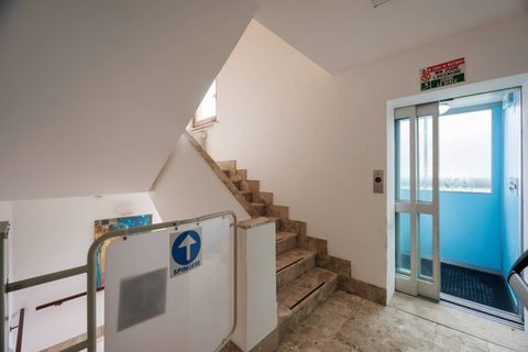 Erhvervsejendom i Moncalieri, Turin, Moncalieri - € 1.500.000 | Ref: 13945 - foto 10