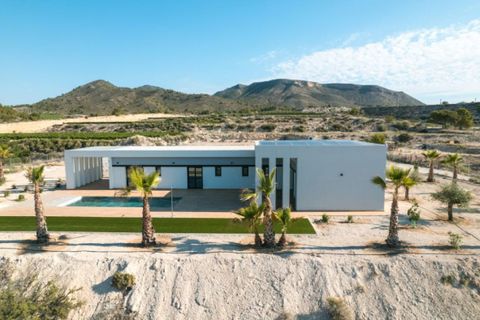Villa a Pinoso, Alicante, Pinoso - € 365.000 | Ref: 396283 [COMPLEX: 396280] - foto 14