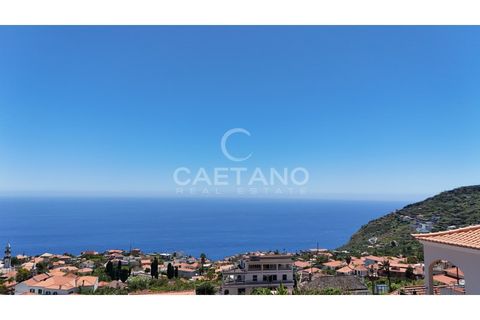 Villa a Arco da Calheta, Madeira, Arco da Calheta - € 1.525.000 | Ref: 3286 - foto 29