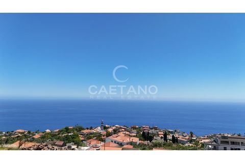 Villa a Arco da Calheta, Madeira, Arco da Calheta - € 1.525.000 | Ref: 3286 - foto 31