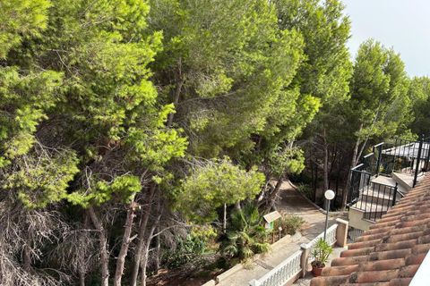 Lejlighed i Algorfa, Alicante, Algorfa - € 119.500 | Ref: 27-50-0-11-908/75578 - foto 27