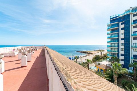 Appartement in Punta Prima, Alicante, Punta Prima - € 219.000 | Ref: 26-280611721862/75619 - foto 32
