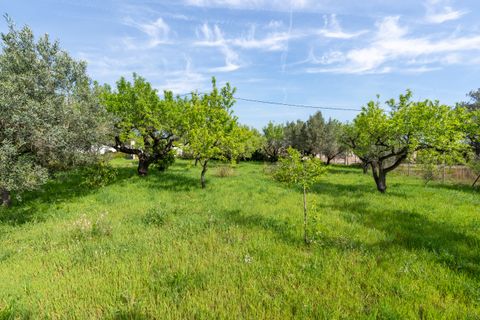 Villa i Roquetes, Tarragona, Roquetes - € 160.000 | Ref: 338 - foto 28