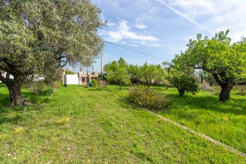 Villa i Roquetes, Tarragona, Roquetes - € 160.000 | Ref: 338 - foto 27