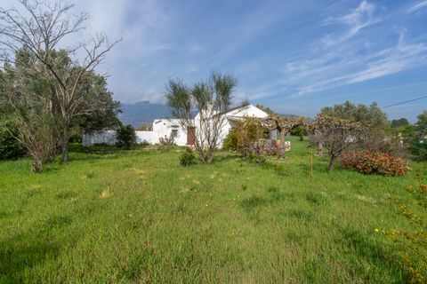 Villa i Roquetes, Tarragona, Roquetes - € 160.000 | Ref: 338 - foto 26
