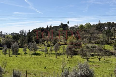 Villa i Tomar, Santarem, Tomar - € 375.000 | Ref: TLD_26159_01 - foto 34