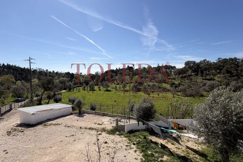 Villa i Tomar, Santarem, Tomar - € 375.000 | Ref: TLD_26159_01 - foto 35