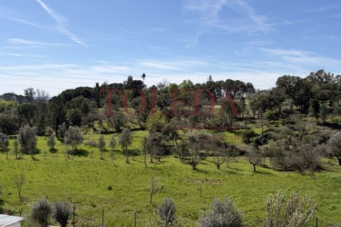 Villa i Tomar, Santarem, Tomar - € 375.000 | Ref: TLD_26159_01 - foto 37
