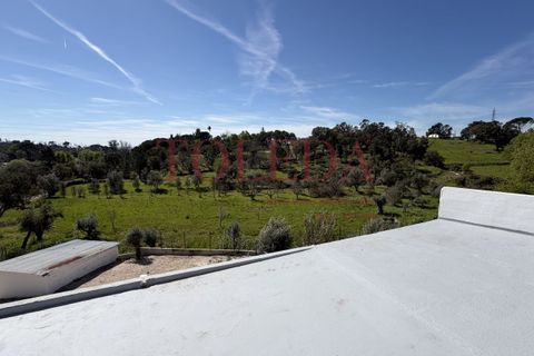 Villa i Tomar, Santarem, Tomar - € 375.000 | Ref: TLD_26159_01 - foto 38