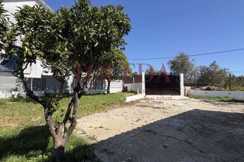 Villa i Tomar, Santarem, Tomar - € 375.000 | Ref: TLD_26159_01 - foto 44