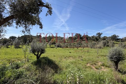Villa i Tomar, Santarem, Tomar - € 375.000 | Ref: TLD_26159_01 - foto 49