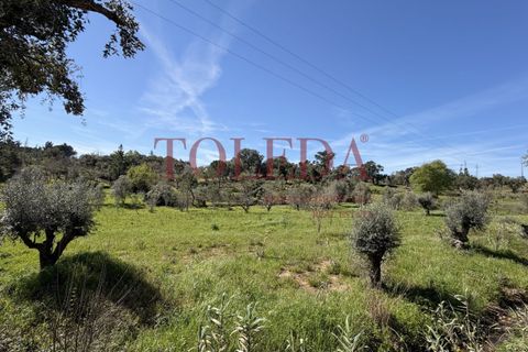Villa i Tomar, Santarem, Tomar - € 375.000 | Ref: TLD_26159_01 - foto 50
