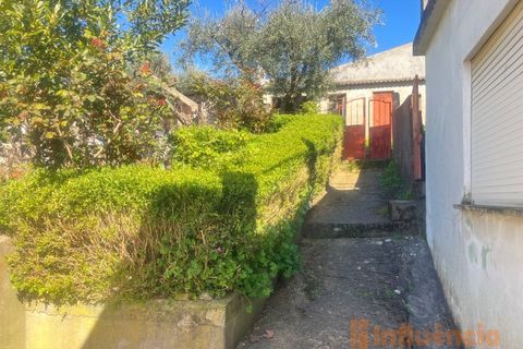 Villa i Peso e Vales do Rio, Castelo Branco, Peso e Vales do Rio - € 60.000 | Ref: CAS_100 - foto 22