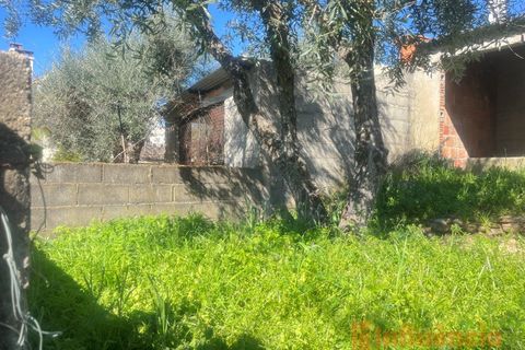Villa i Peso e Vales do Rio, Castelo Branco, Peso e Vales do Rio - € 60.000 | Ref: CAS_100 - foto 25