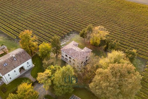 Villa i Rubiera, Reggio Emilia, Rubiera - € 890.000 | Ref: 86663992 - foto 14