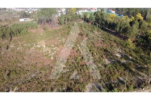 Helårsgrund i Mangualde, Viseu, Mangualde - € 97.500 | Ref: 1180632/26VS - foto 3