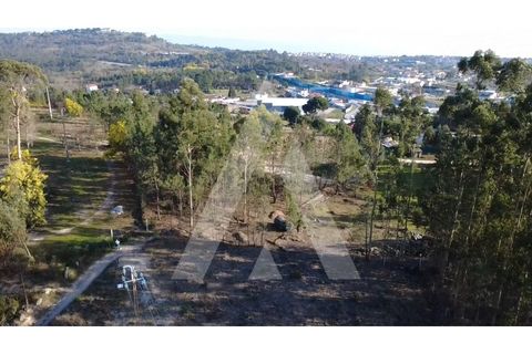 Helårsgrund i Mangualde, Viseu, Mangualde - € 97.500 | Ref: 1180632/26VS - foto 2