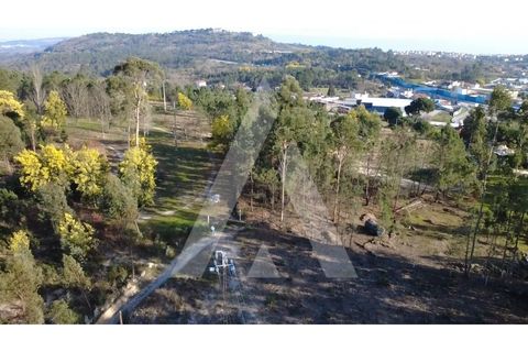 Helårsgrund i Mangualde, Viseu, Mangualde - € 97.500 | Ref: 1180632/26VS - foto 6