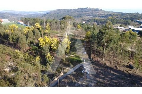 Helårsgrund i Mangualde, Viseu, Mangualde - € 97.500 | Ref: 1180632/26VS - foto 7