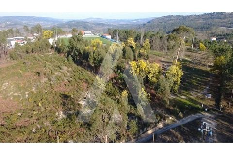 Helårsgrund i Mangualde, Viseu, Mangualde - € 97.500 | Ref: 1180632/26VS - foto 8