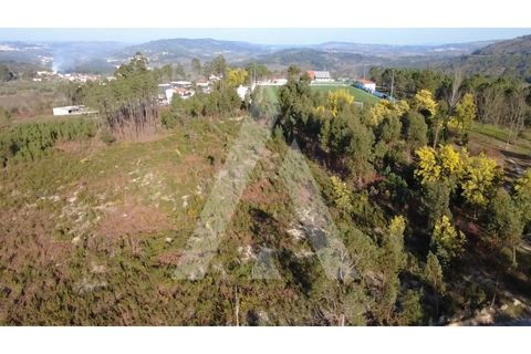 Helårsgrund i Mangualde, Viseu, Mangualde - € 97.500 | Ref: 1180632/26VS - foto 9