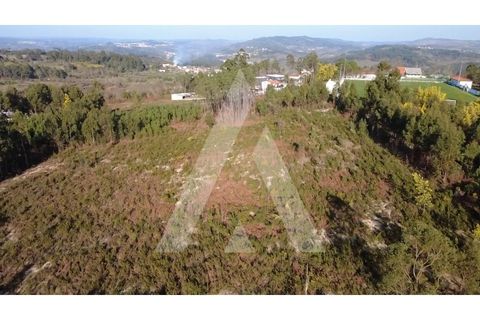 Helårsgrund i Mangualde, Viseu, Mangualde - € 97.500 | Ref: 1180632/26VS - foto 10