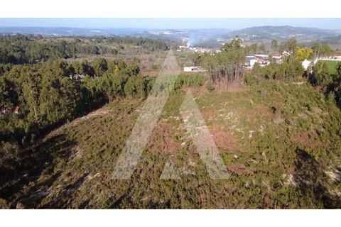 Helårsgrund i Mangualde, Viseu, Mangualde - € 97.500 | Ref: 1180632/26VS - foto 11