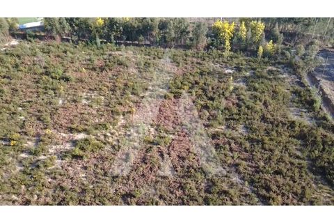 Helårsgrund i Mangualde, Viseu, Mangualde - € 97.500 | Ref: 1180632/26VS - foto 13