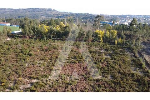 Helårsgrund i Mangualde, Viseu, Mangualde - € 97.500 | Ref: 1180632/26VS - foto 14