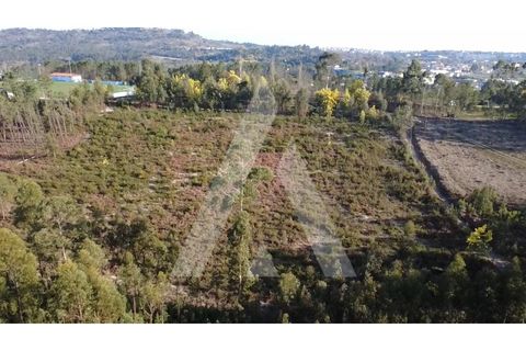 Helårsgrund i Mangualde, Viseu, Mangualde - € 97.500 | Ref: 1180632/26VS - foto 15