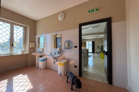 Villa i Catanzaro, Catanzaro, Catanzaro - € 980.000 | Ref: CZ-916 - foto 5