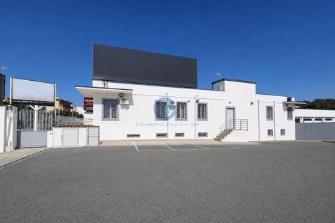 Propiedad comercial en Catanzaro, Catanzaro, Catanzaro - € 600.000 | Ref: CZ-916 - photo 24