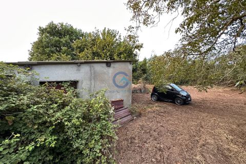 Erhvervsejendom i Borgia, Catanzaro, Borgia - € 42.000 | Ref: CZ-917 - foto 1