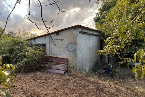 Erhvervsejendom i Borgia, Catanzaro, Borgia - € 42.000 | Ref: CZ-917 - foto 2