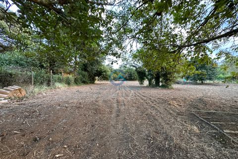 Erhvervsejendom i Borgia, Catanzaro, Borgia - € 42.000 | Ref: CZ-917 - foto 5