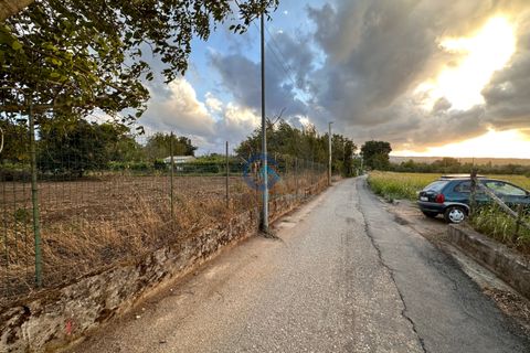 Erhvervsejendom i Borgia, Catanzaro, Borgia - € 42.000 | Ref: CZ-917 - foto 7