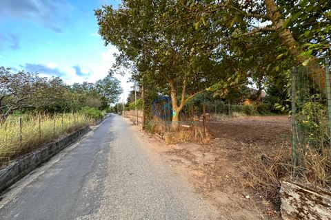 Erhvervsejendom i Borgia, Catanzaro, Borgia - € 42.000 | Ref: CZ-917 - foto 8