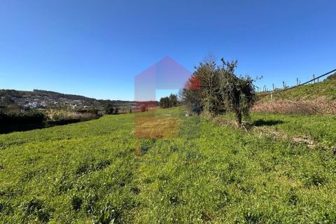 Byhus i Vila Verde, Braga, Vila Verde - € 295.000 | Ref: 08825 - foto 25